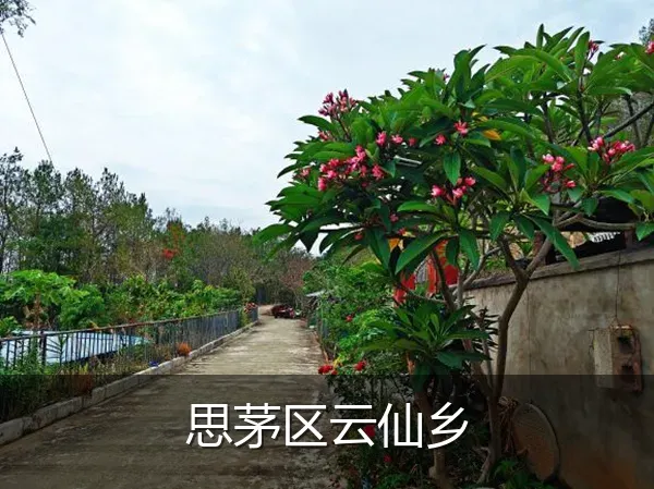 思茅区云仙乡