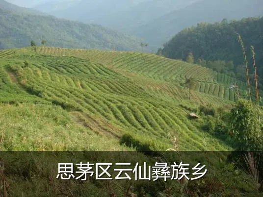 思茅区云仙彝族乡